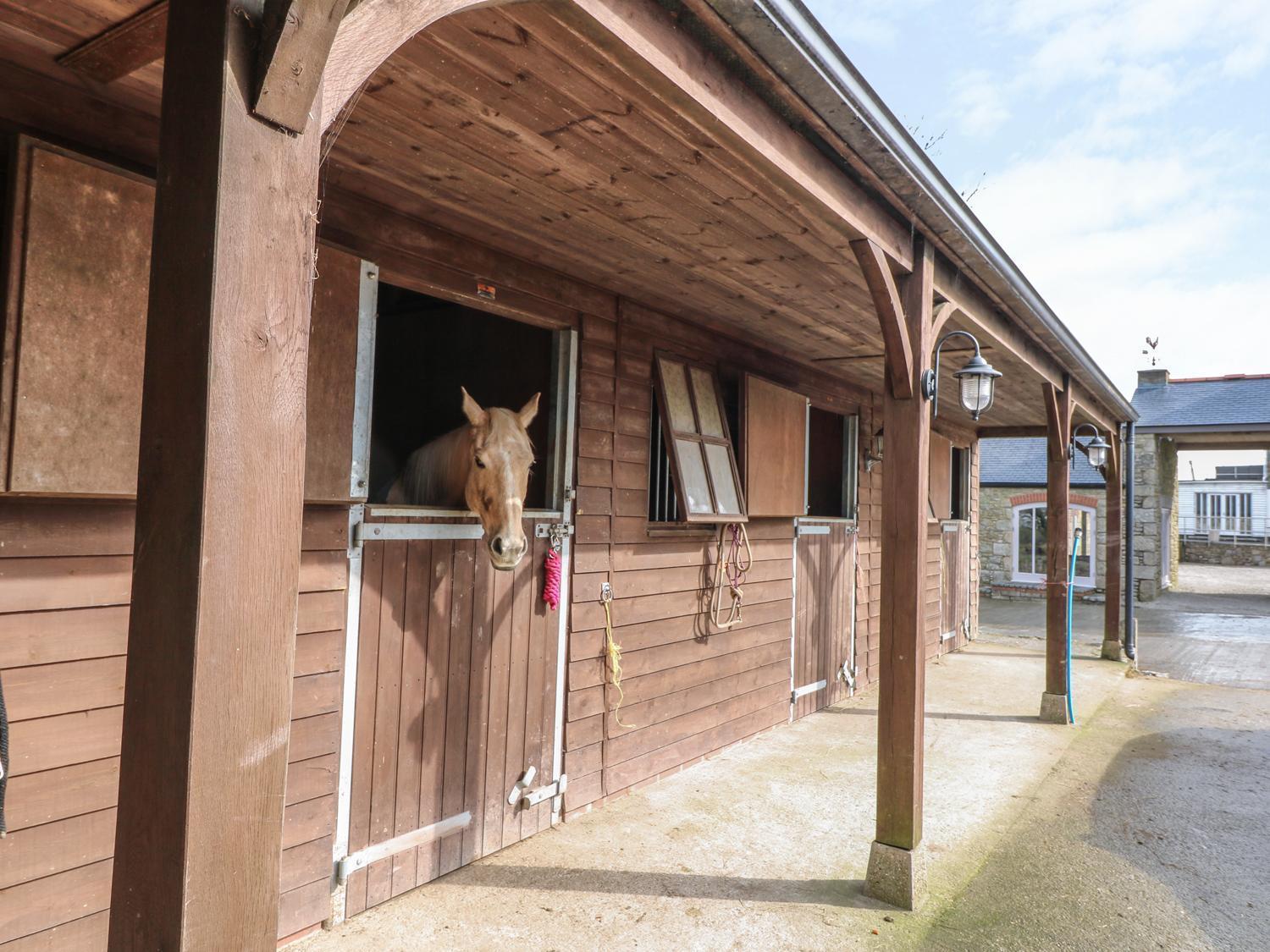 Dexter Villa Penryn Eksteriør billede